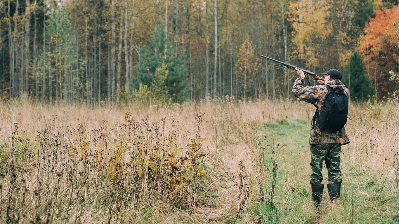 Охота на зверя. Лес охота природа. Дедушка Егерь в лесу. Поле лес охота.